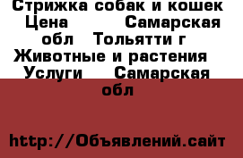 Стрижка собак и кошек › Цена ­ 500 - Самарская обл., Тольятти г. Животные и растения » Услуги   . Самарская обл.